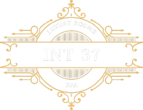Logo Int37